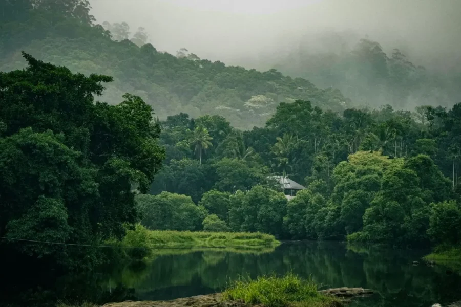 Classic Kerala Tour