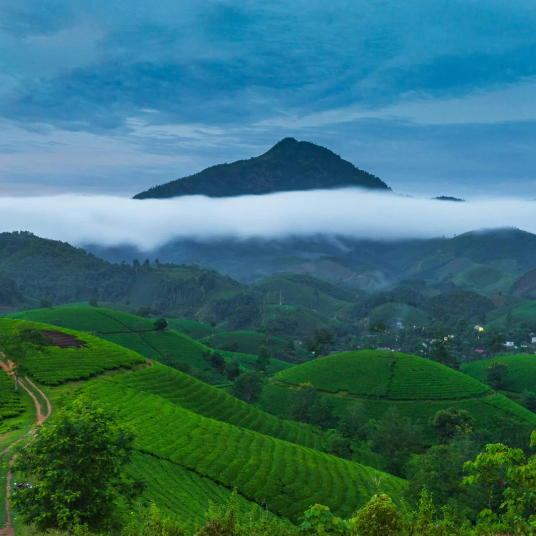 Wayanad_04