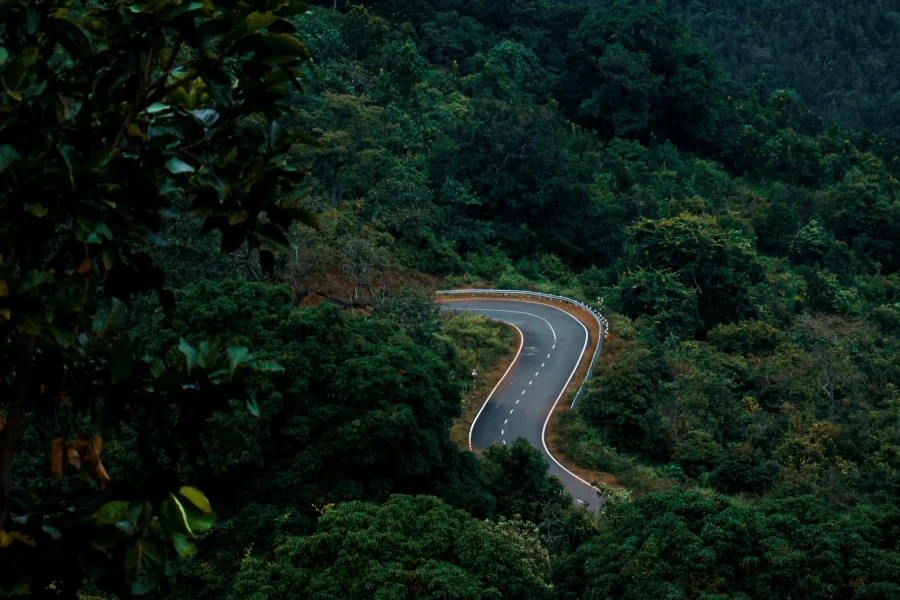 Wayanad