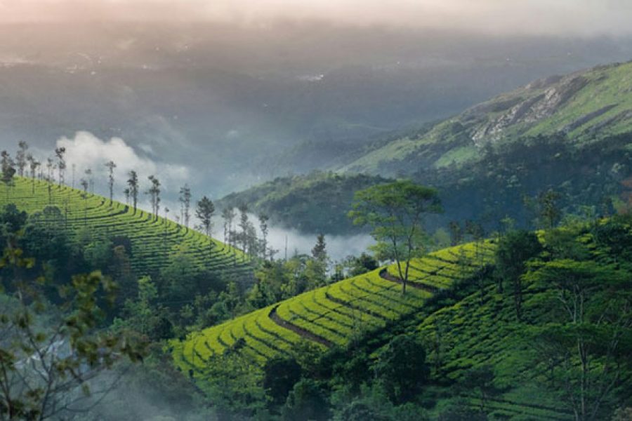 Munnar