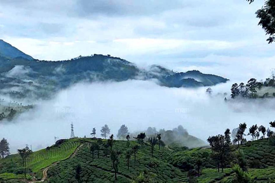 Short Kerala Escape