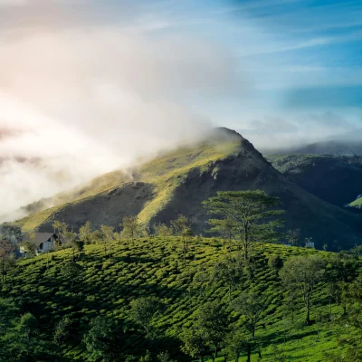 Vagamon