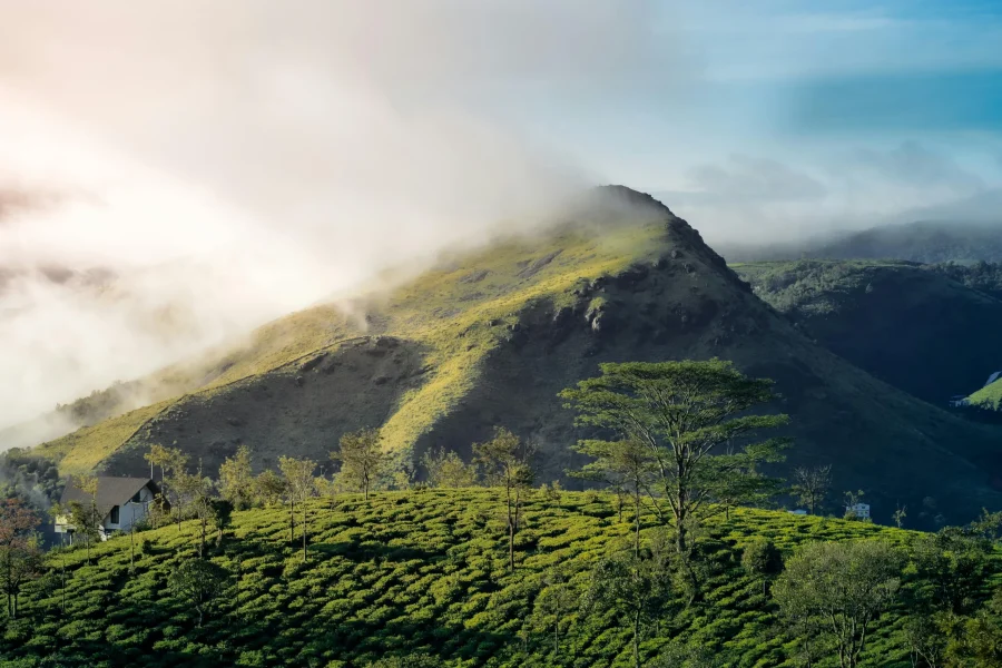 Vagamon