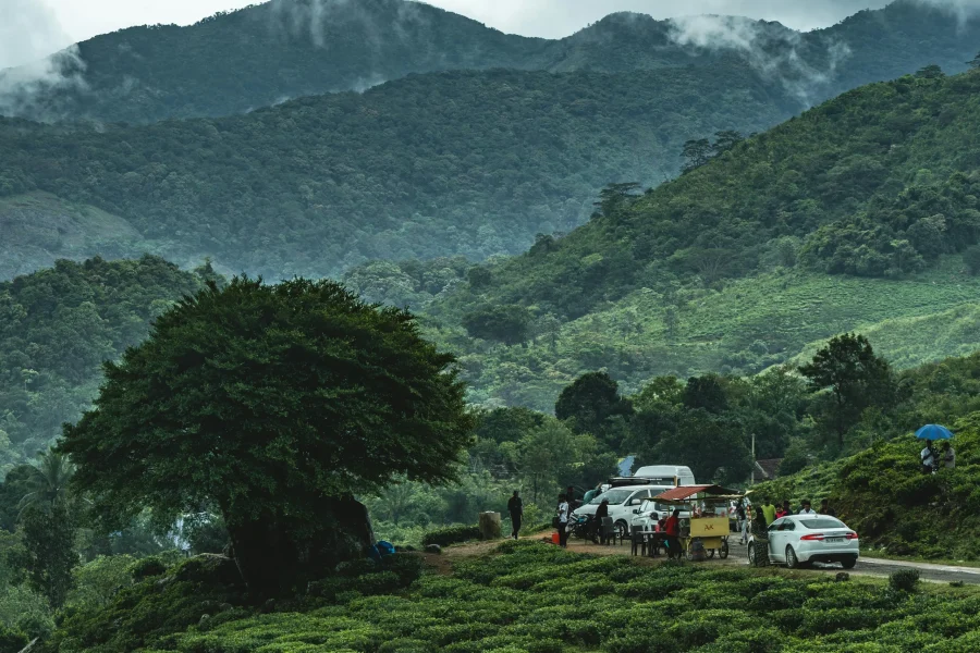 Ponmudi